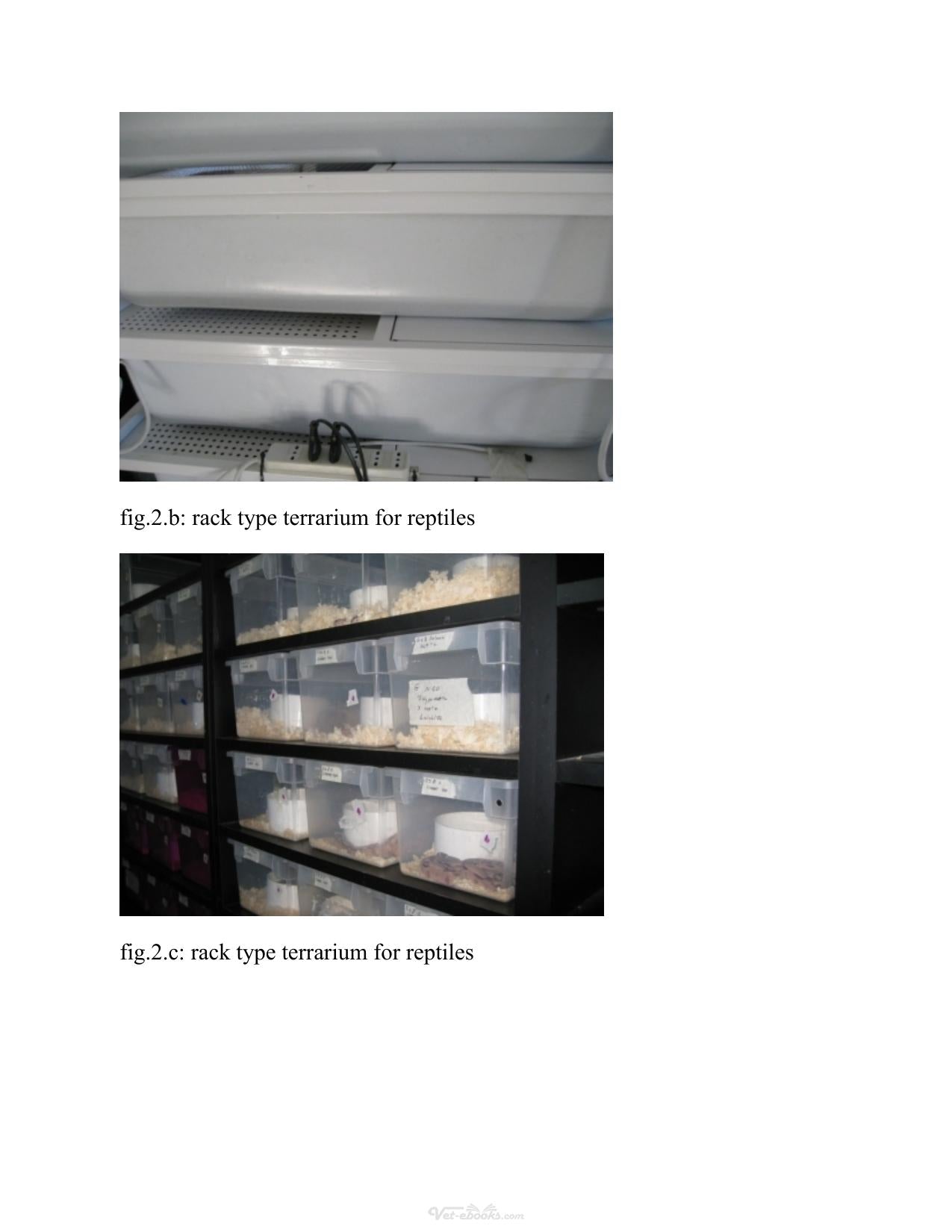 Look inside — page 10