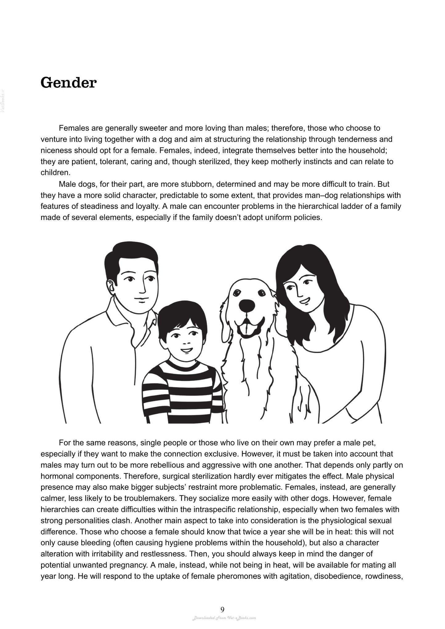 The Absolute Beginners Guide To Living With Your Dog