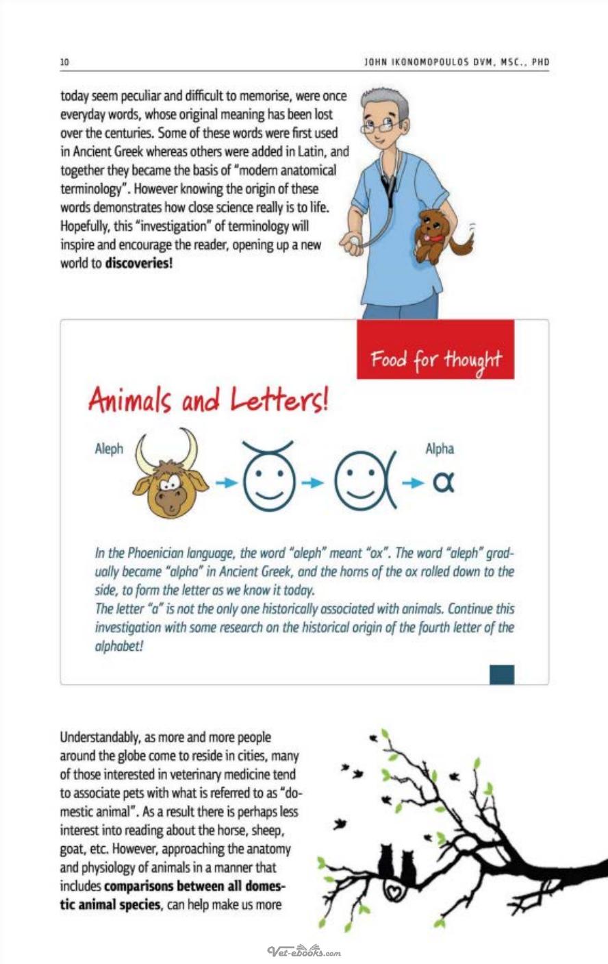 The Body Of Domestic Animals Structure And Function