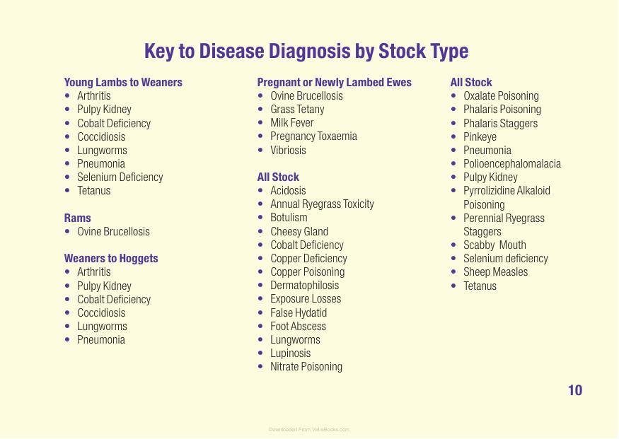 Sheep Diseases The Farmers Guide