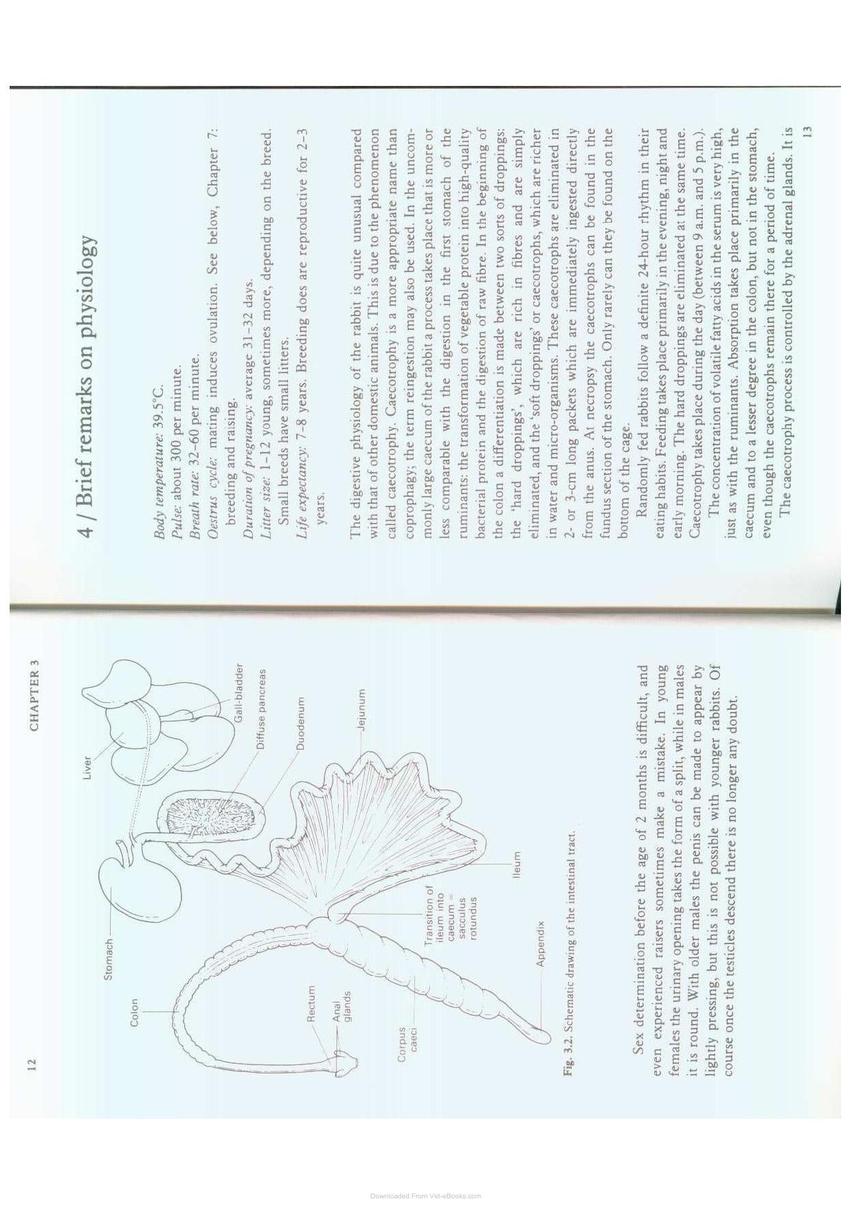 Diseases Of Domestic Rabbits