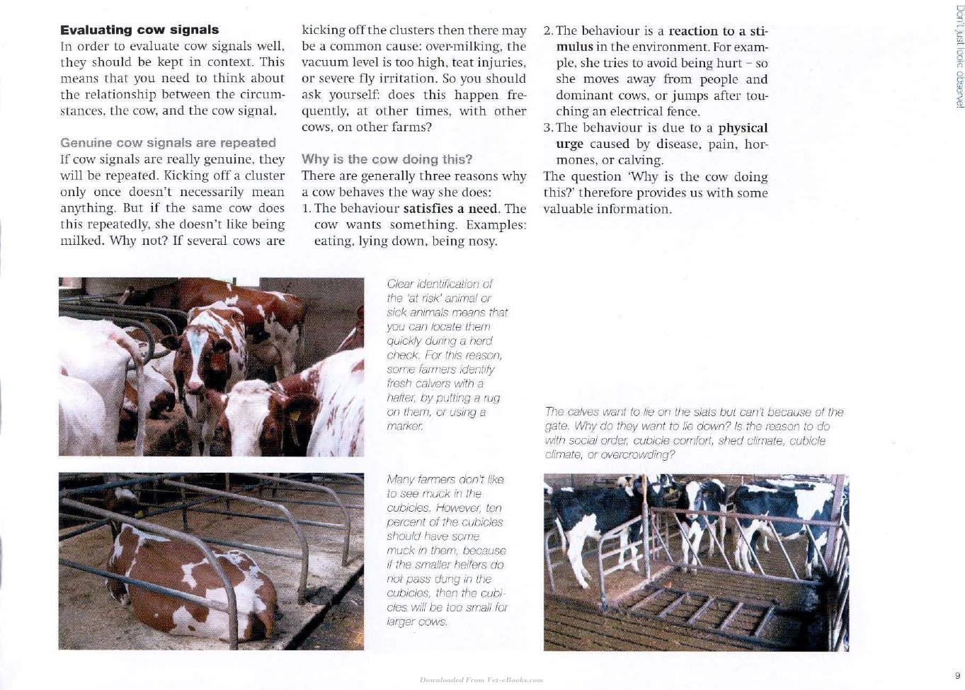 Cow Signals A Practical Guide For Dairy Farm Management
