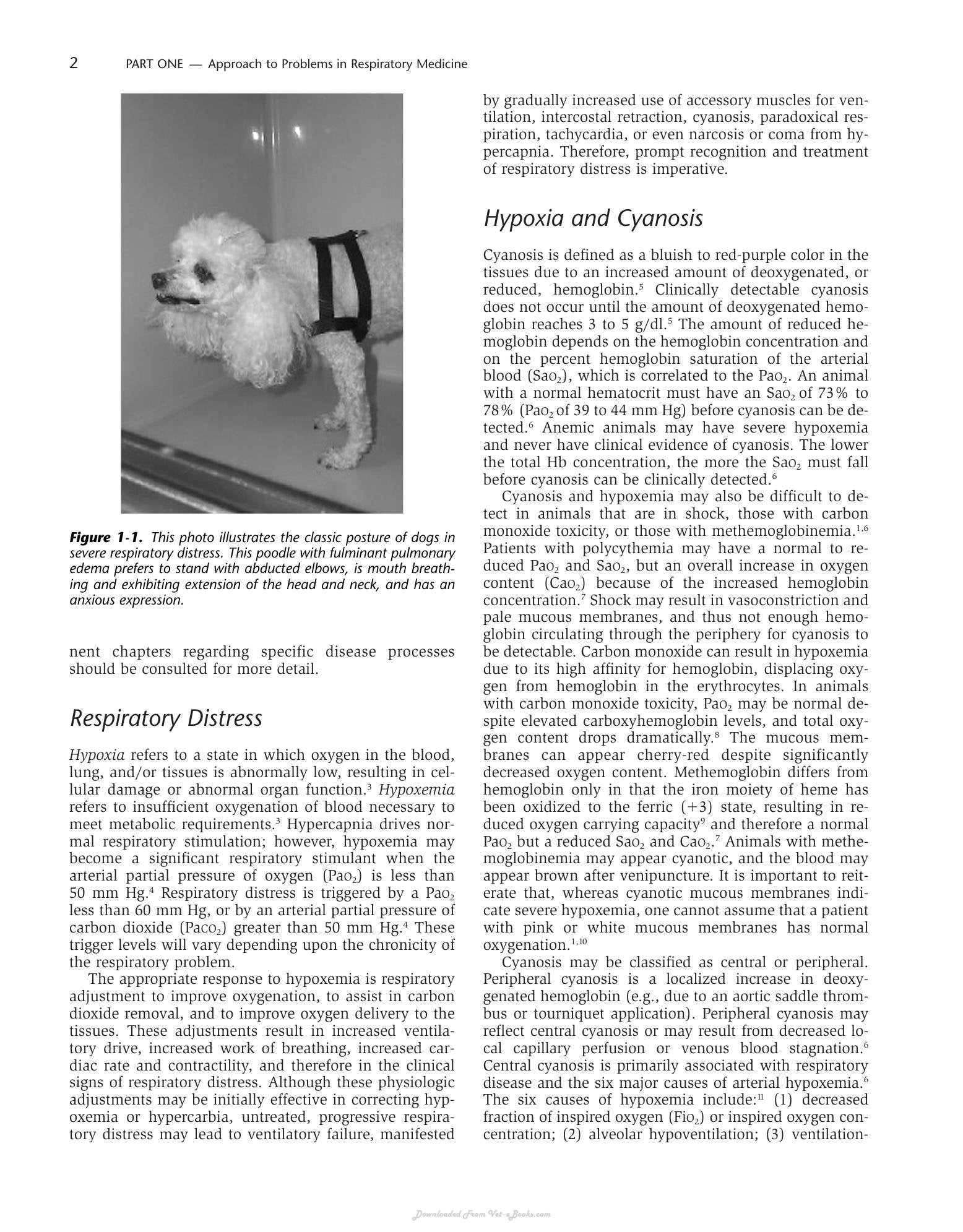 Look inside — page 10
