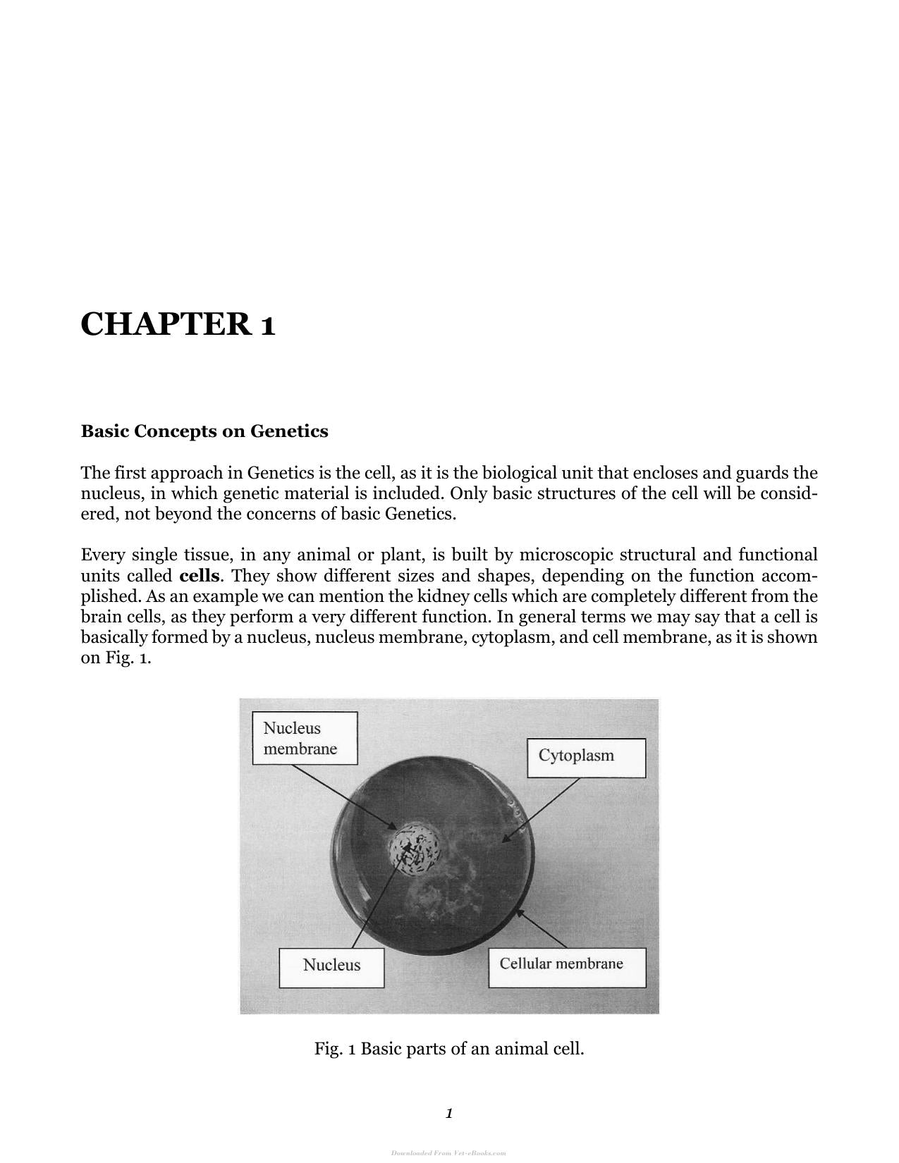 Look inside — page 10