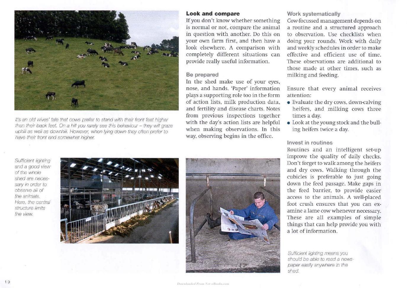 Cow Signals A Practical Guide For Dairy Farm Management