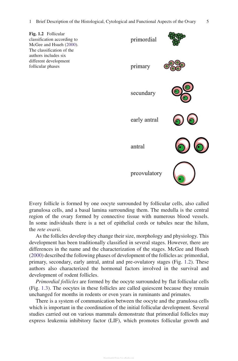 Look inside — page 11