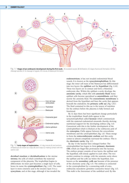 Embryology an Illustrated Colour Text 2nd Edition