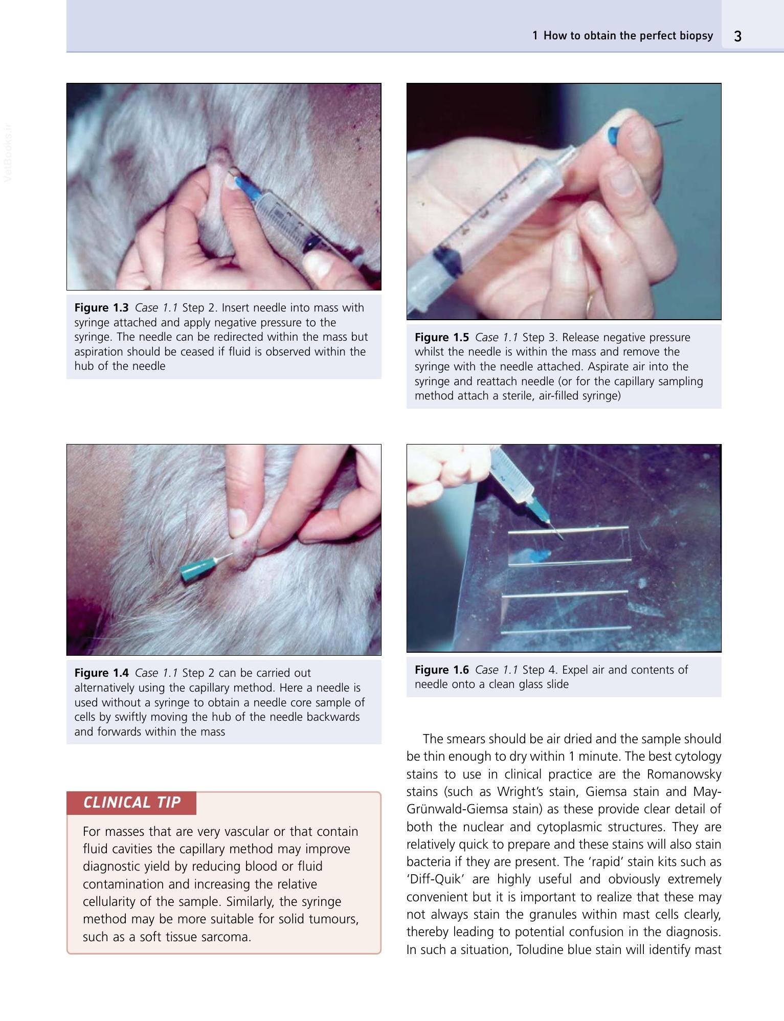 Look inside — page 11