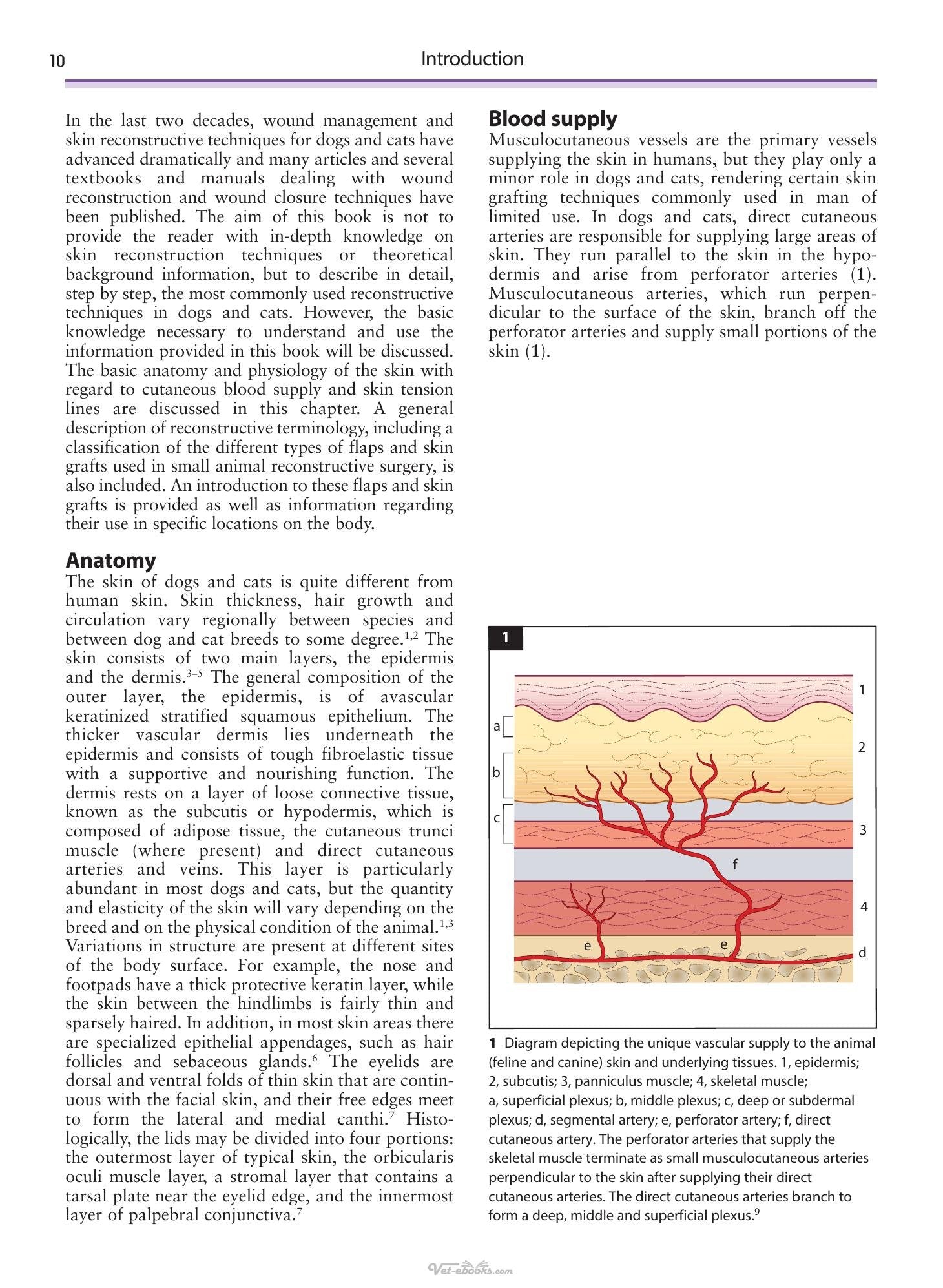 Look inside — page 11