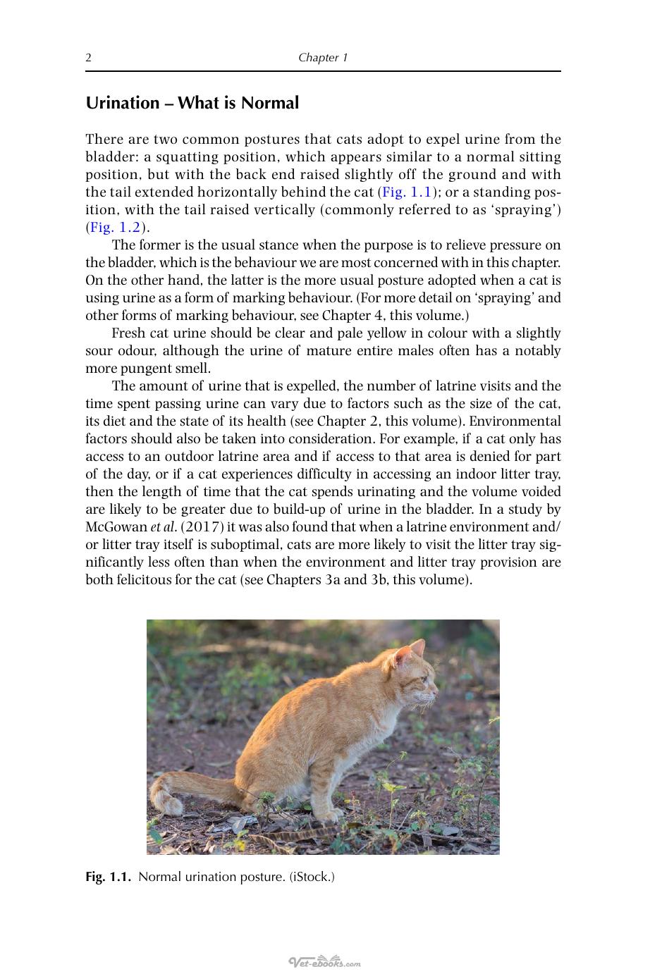 Look inside — page 11