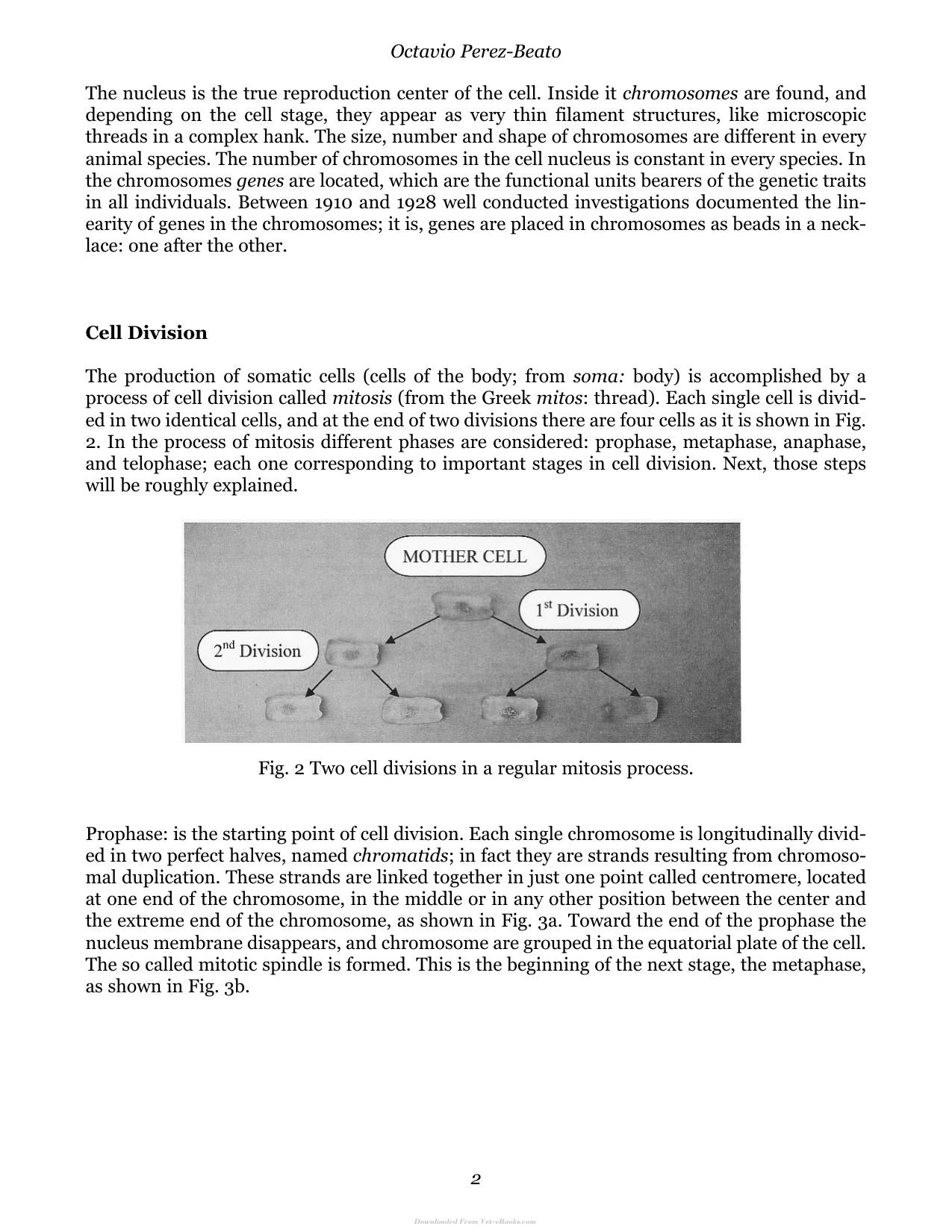 Look inside — page 11