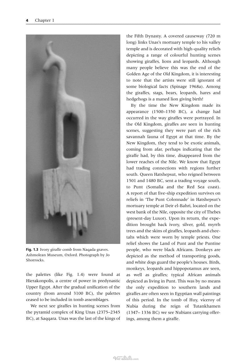 Look inside — page 11