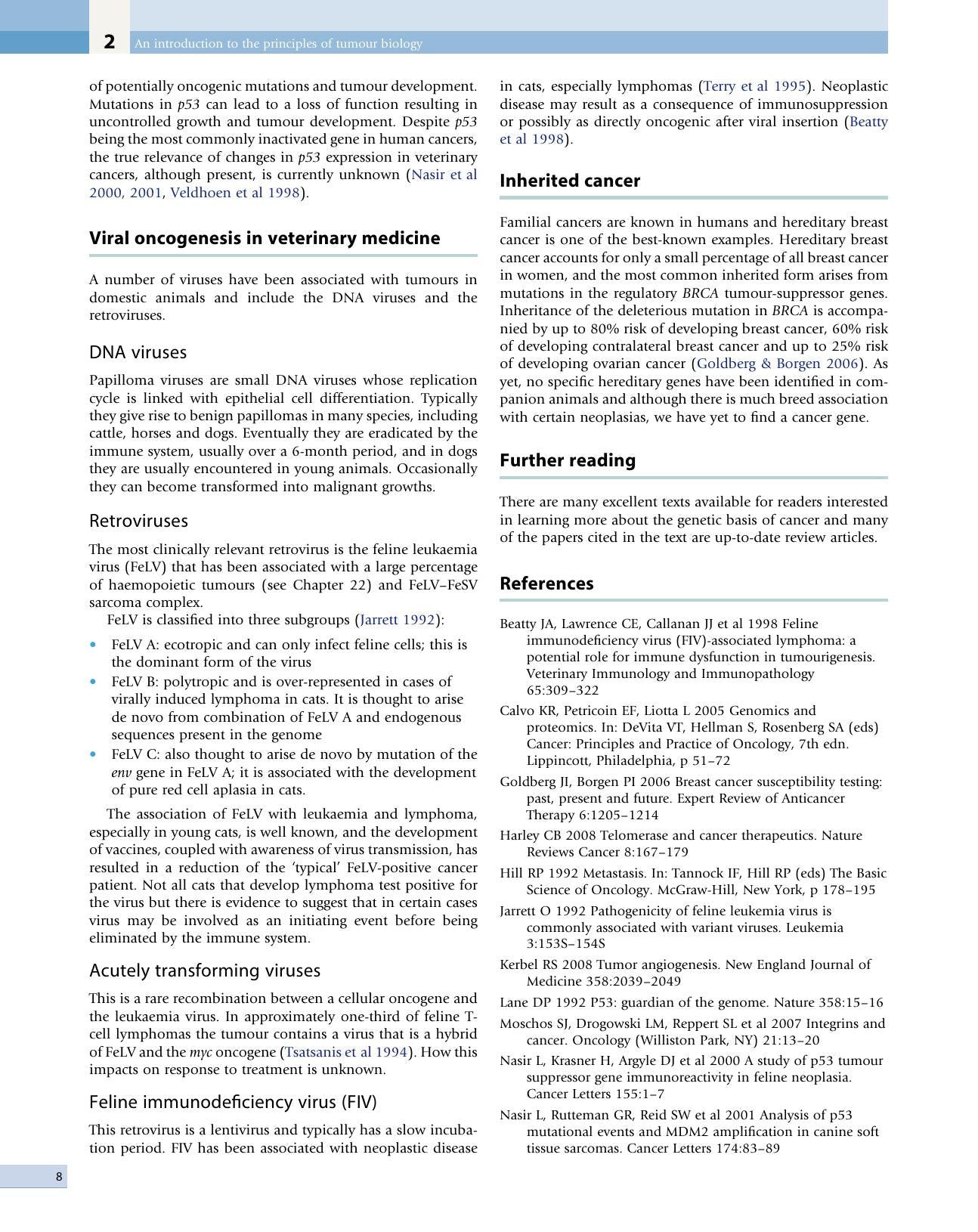 Small Animal Oncology