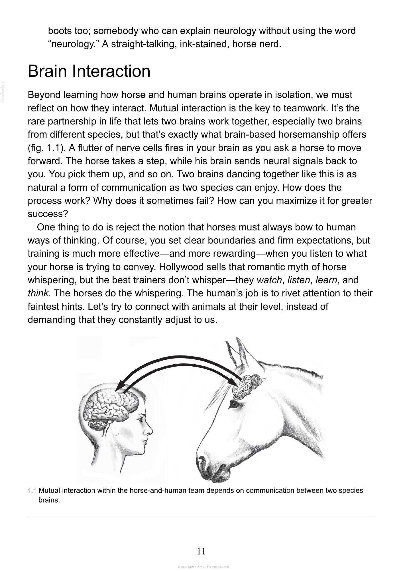 Look inside — page 11