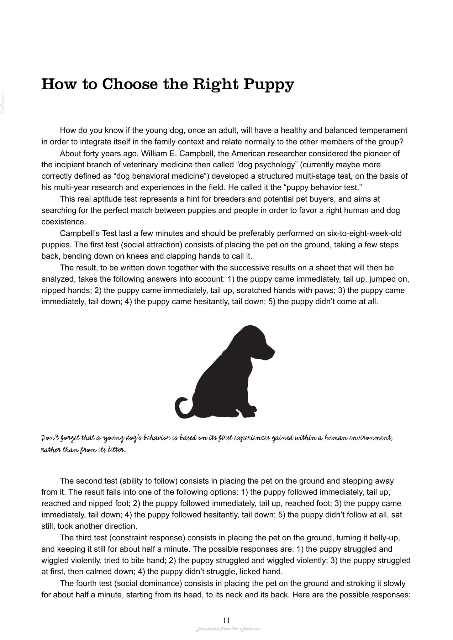 The Absolute Beginners Guide To Living With Your Dog