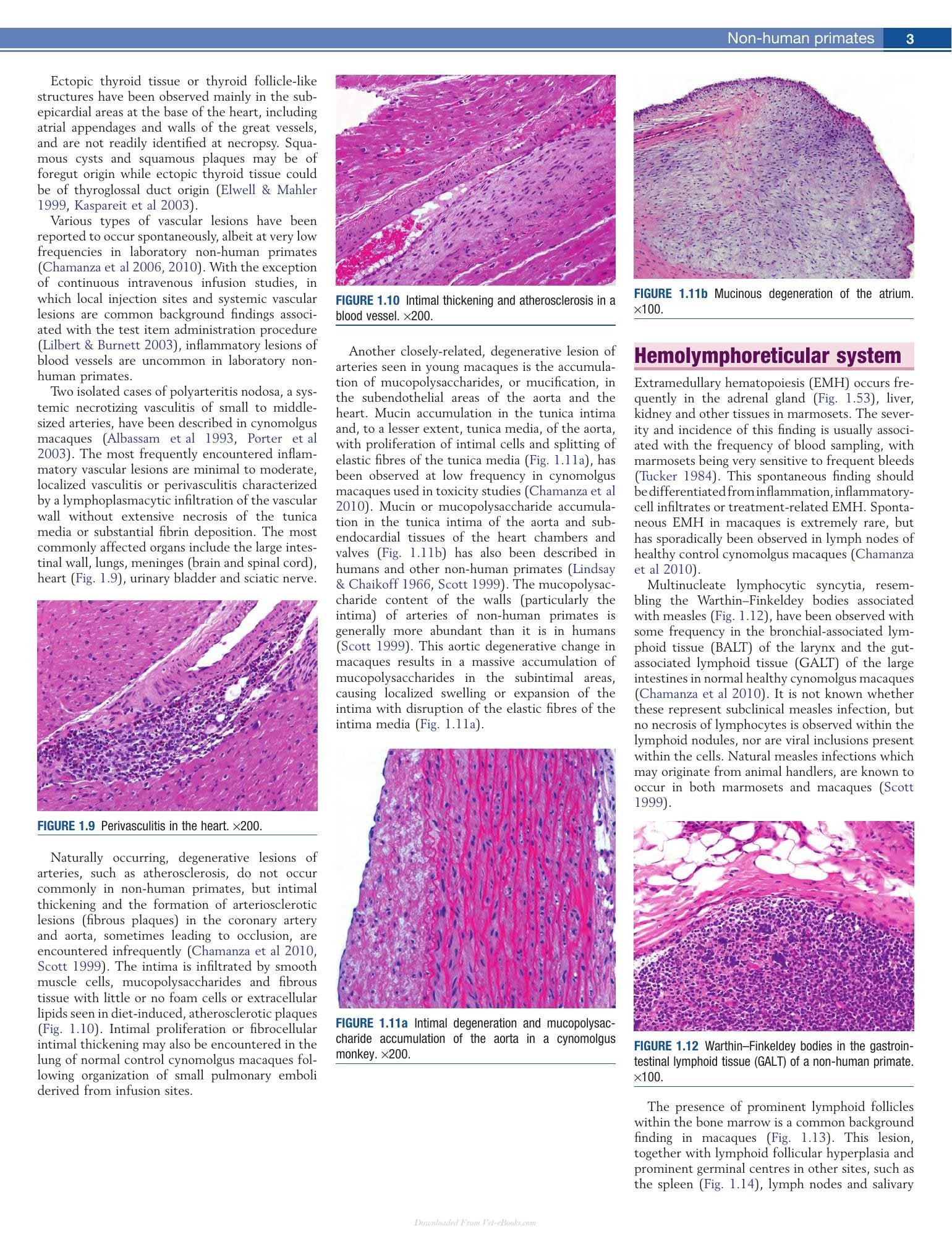 Look inside — page 12