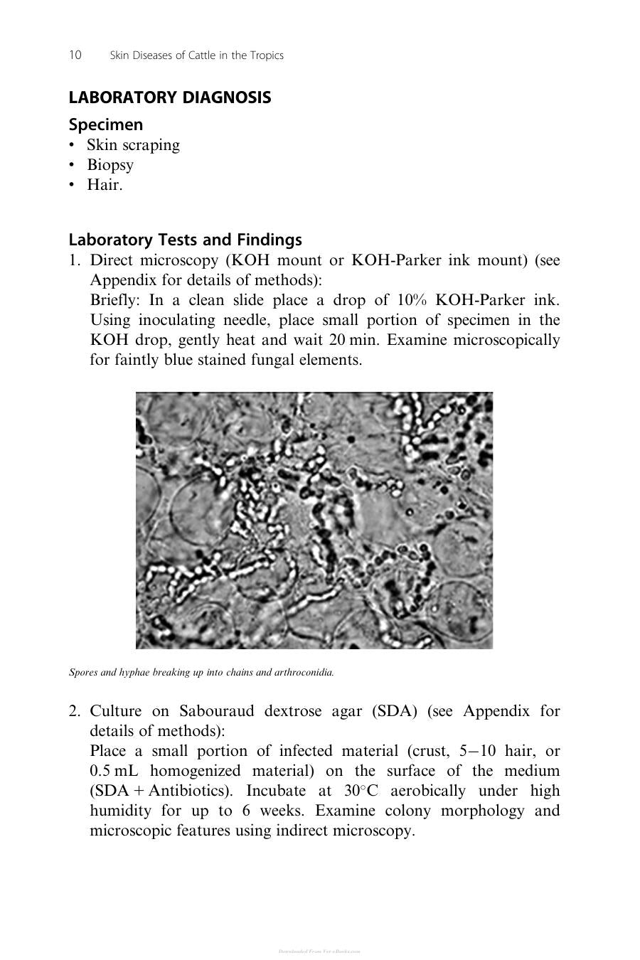 Skin Diseases Of Cattle In The Tropics A Guide To Diagnosis And Treatment
