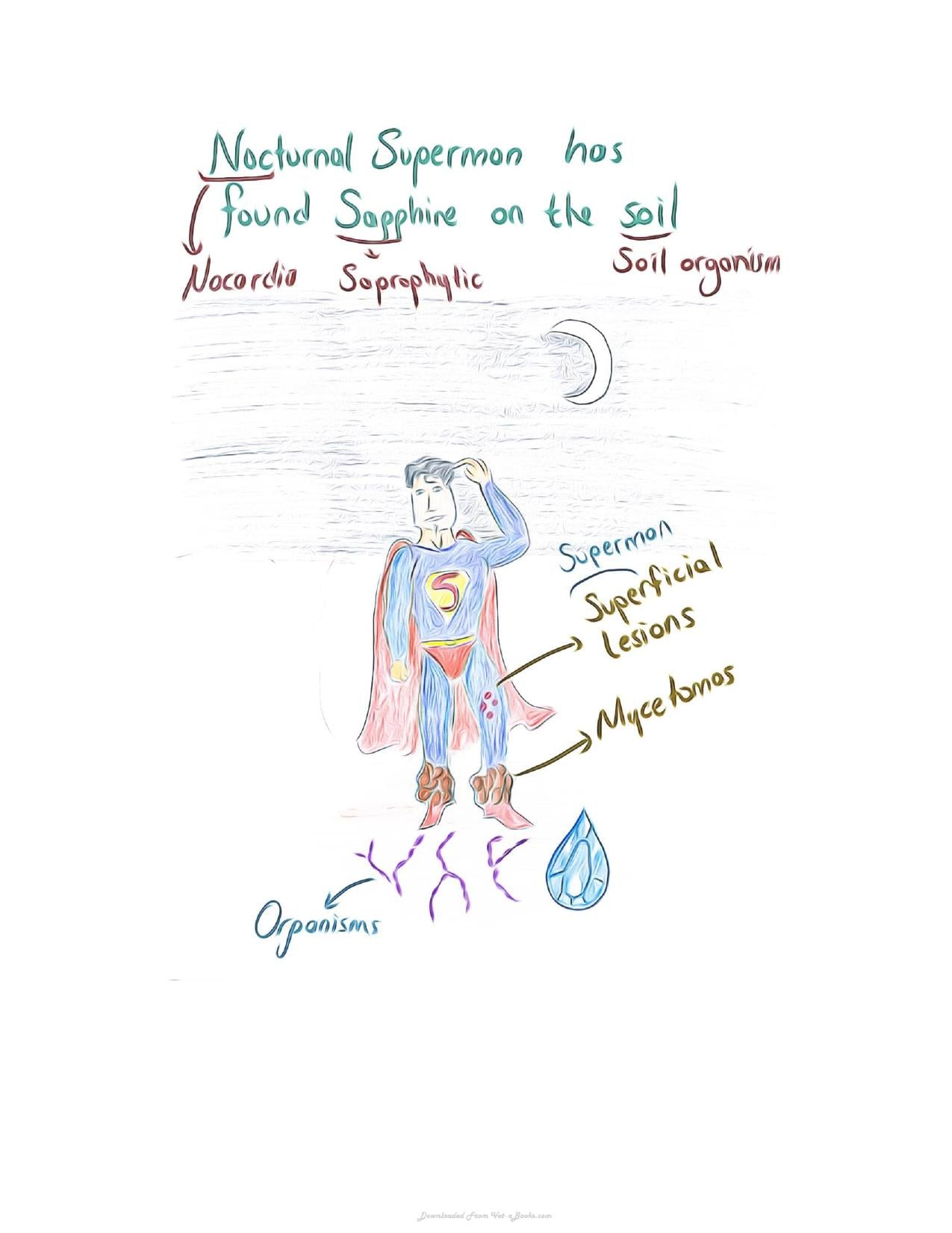 Small Animal Infectious Diseases Mnemonic Cartoons