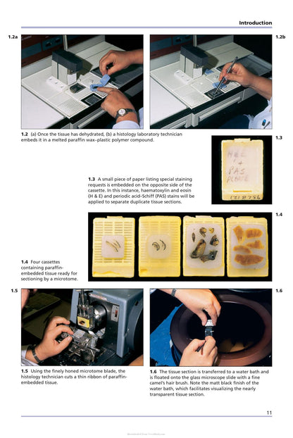 Look inside — page 12