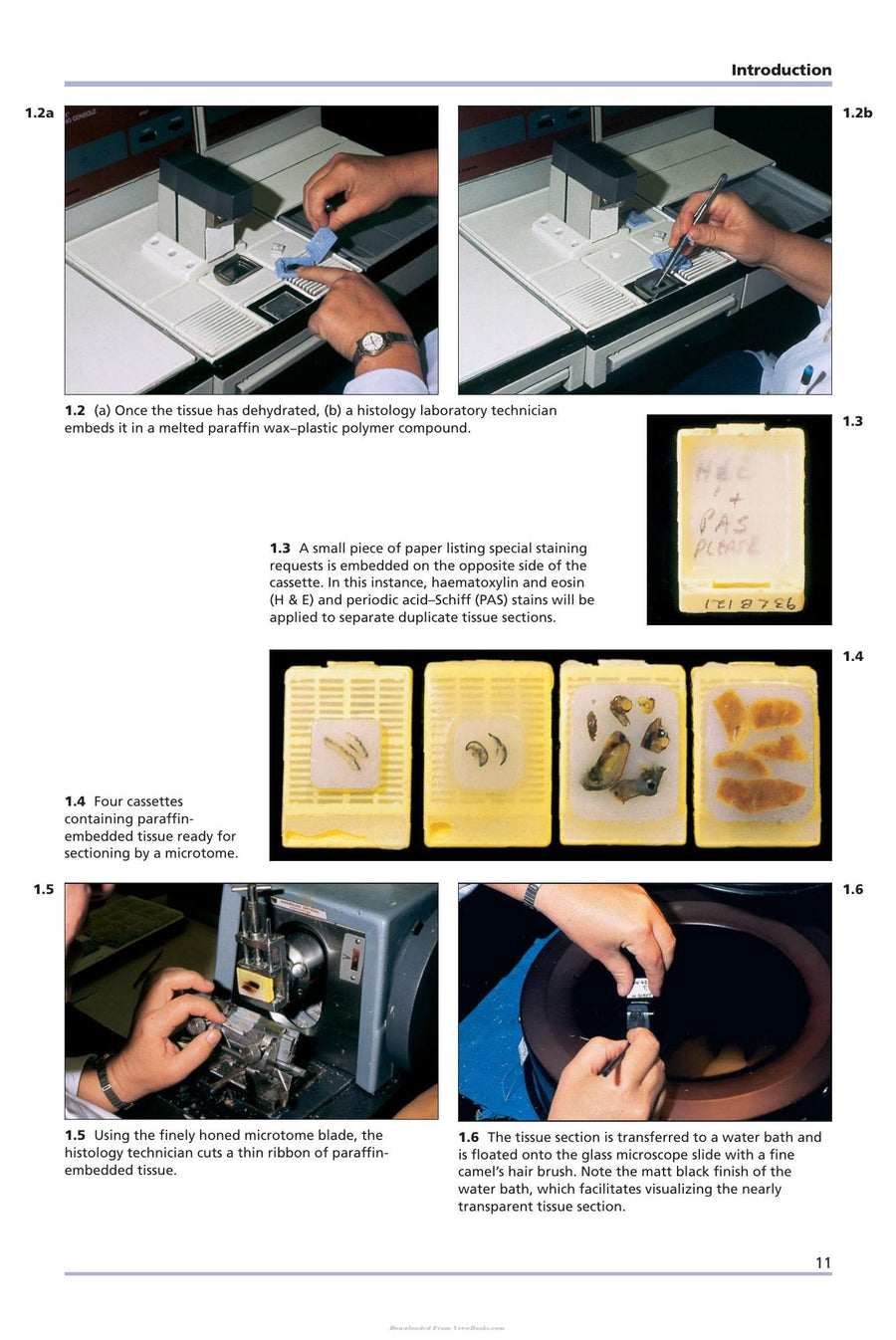 Preview page of Comparative Veterinary Histology with Clinical Correlates