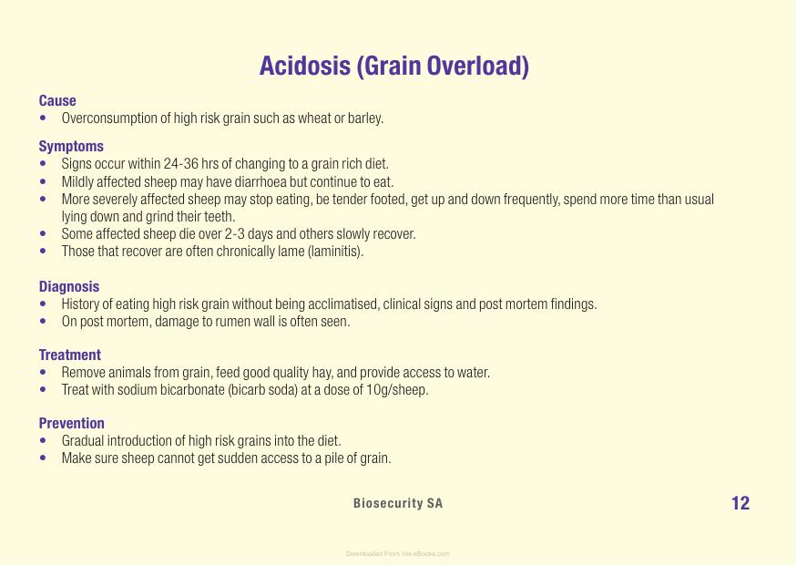 Sheep Diseases The Farmers Guide
