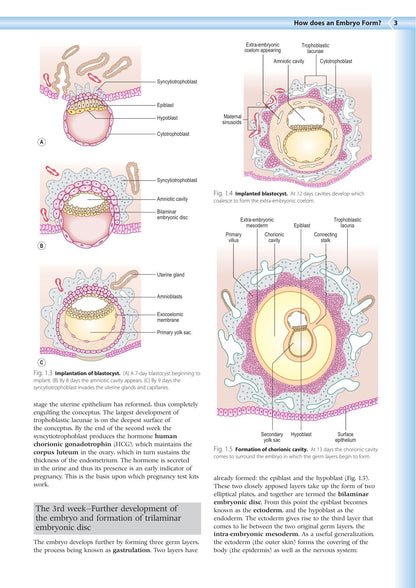 Embryology an Illustrated Colour Text 2nd Edition