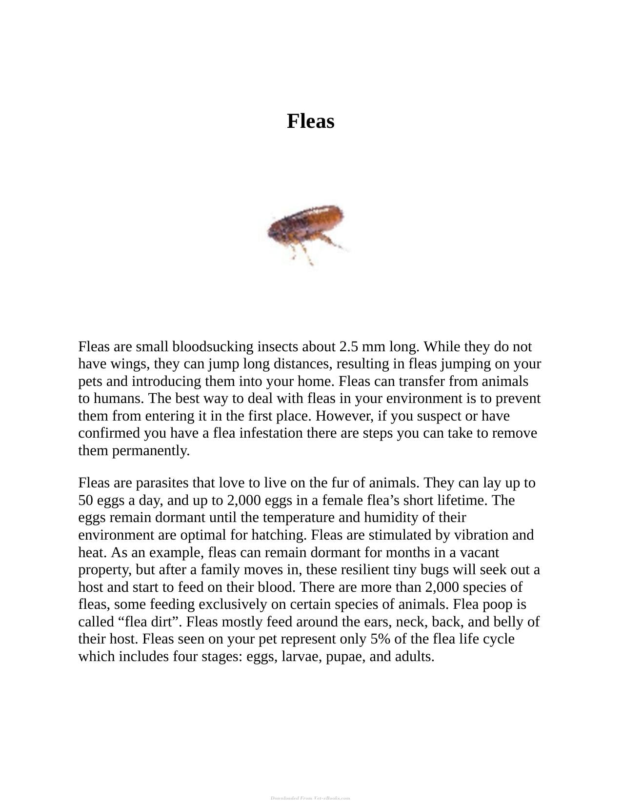 Protecting Your Pets From Parasites A Holistic Guide To Fleas Ticks Heartworms