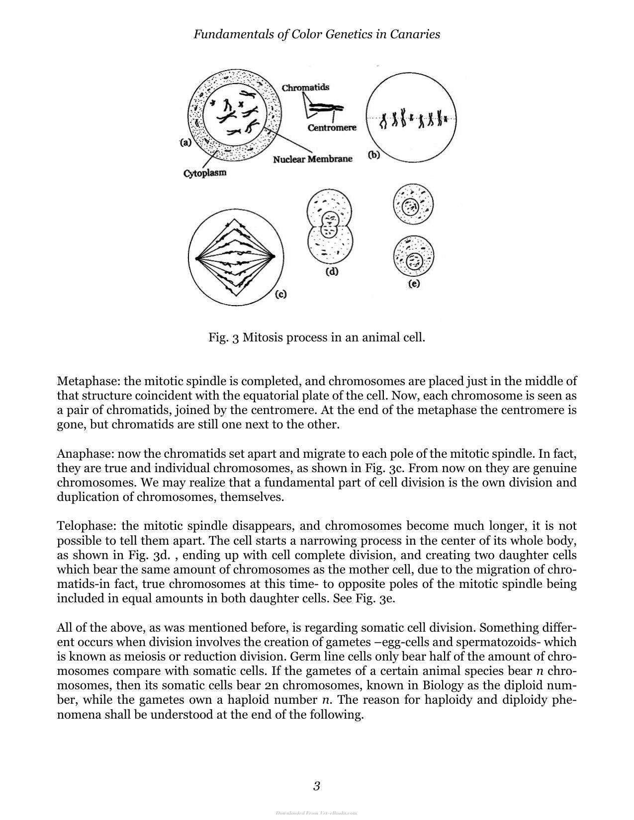 Look inside — page 12