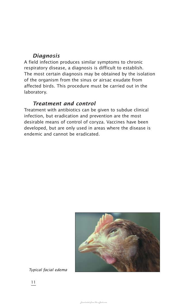 Important Poultry Diseases