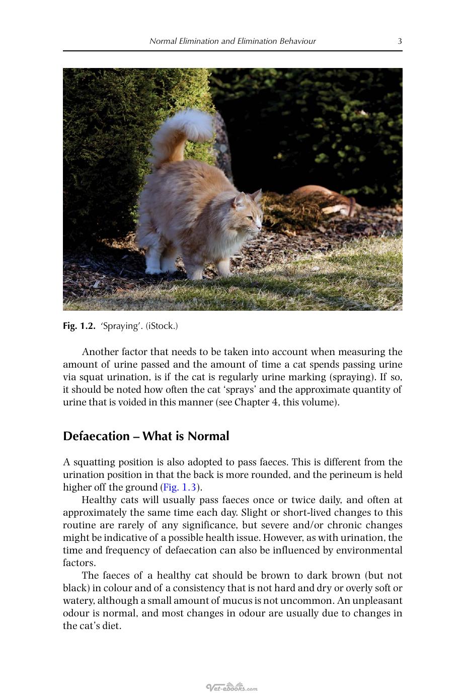 Look inside — page 12