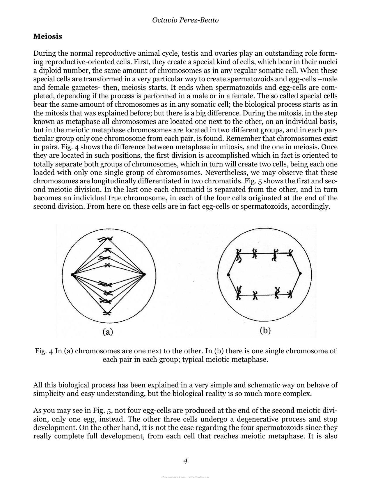 Look inside — page 13