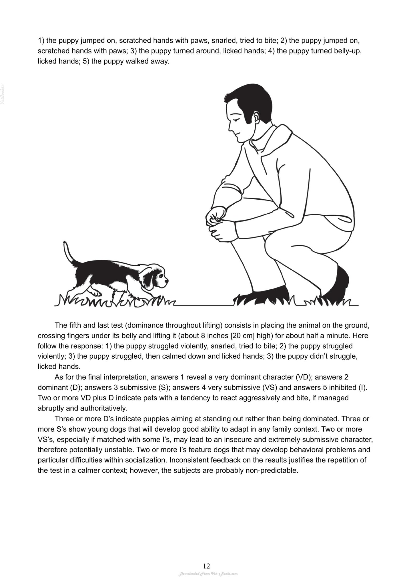The Absolute Beginners Guide To Living With Your Dog