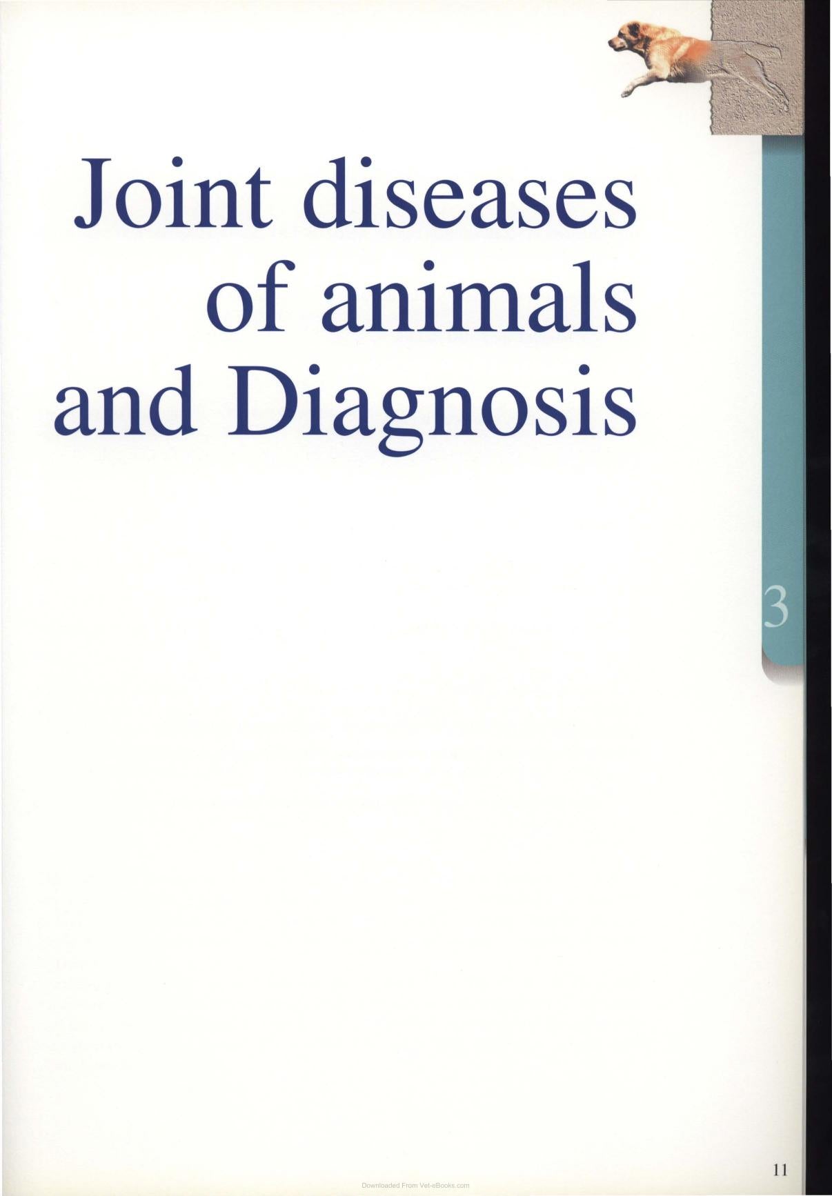 Diagnosis And Treatment Of Joint Disease Of Small Animals