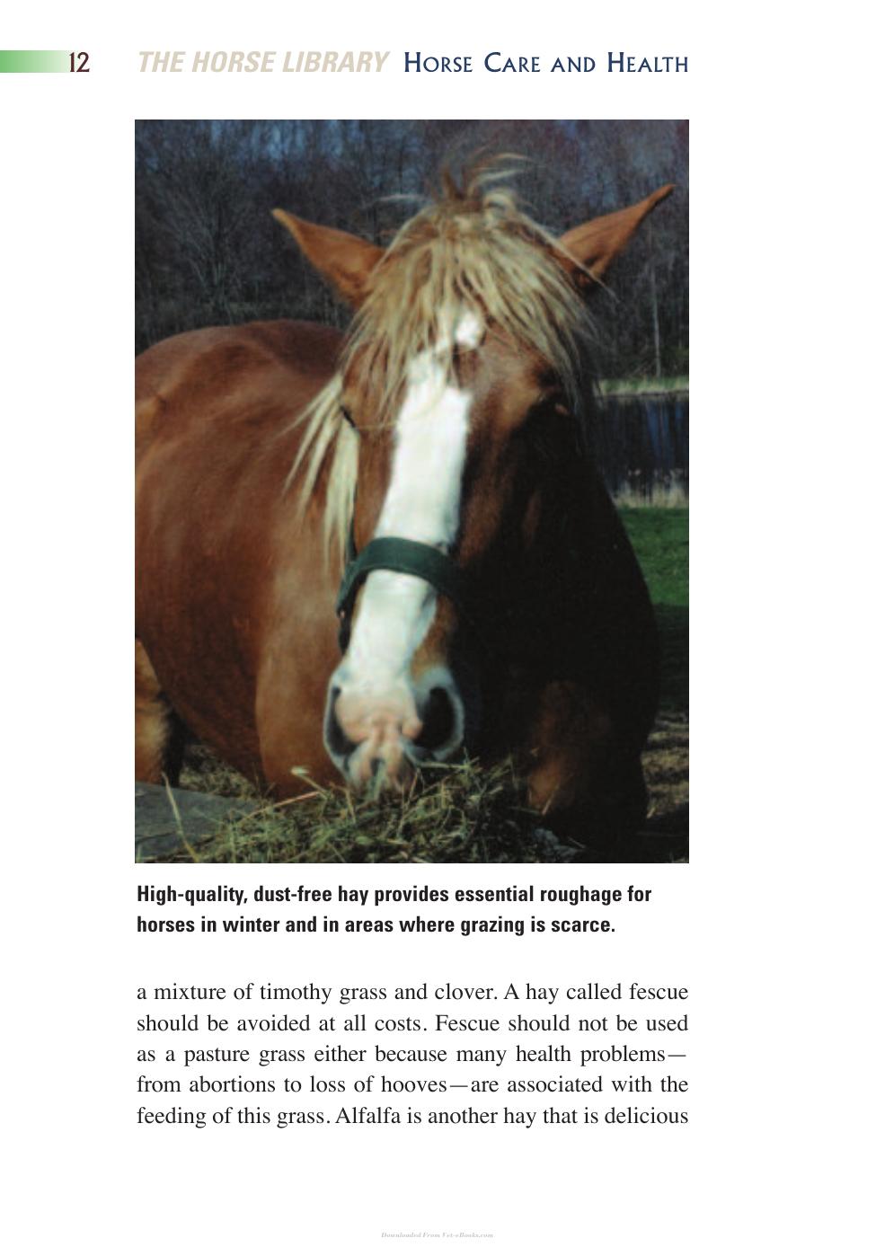 Horse Health And Care