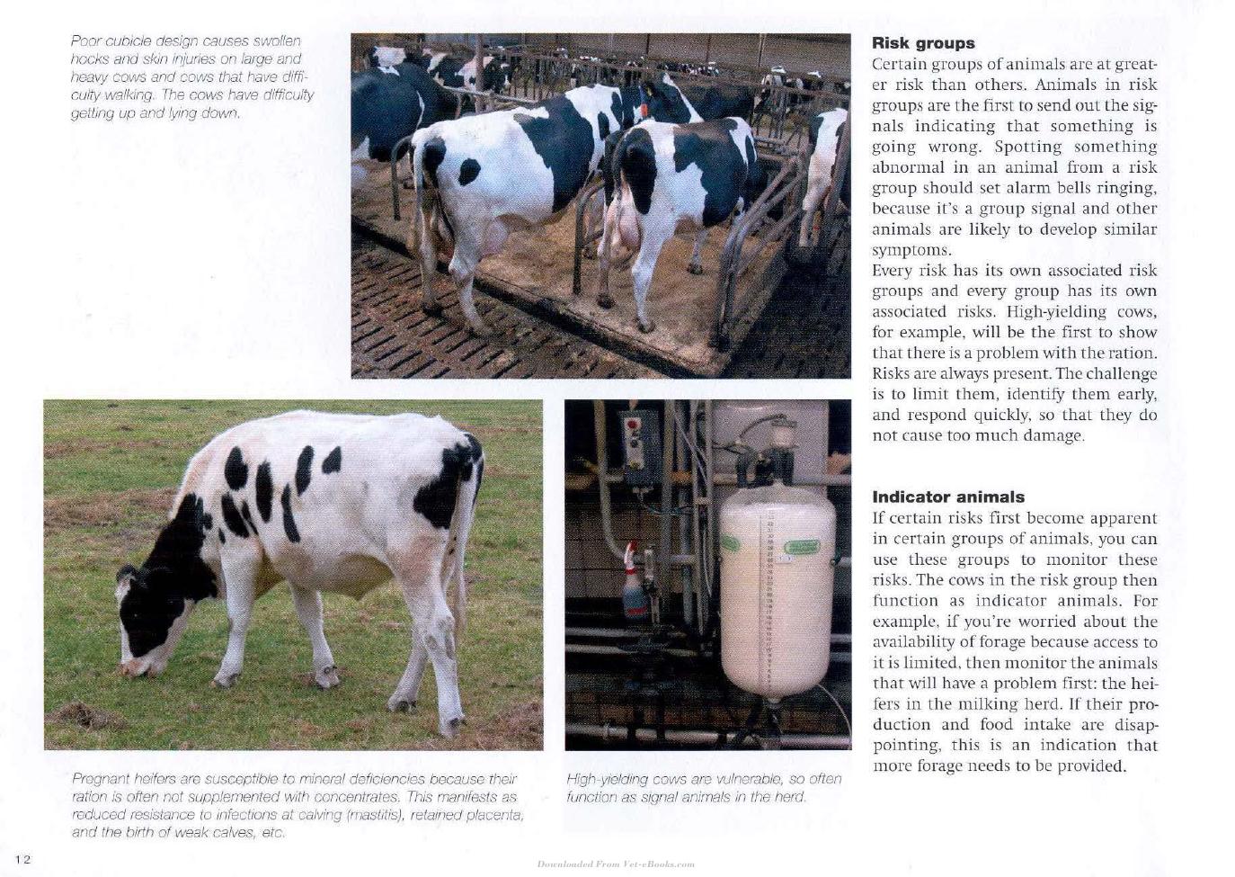 Cow Signals A Practical Guide For Dairy Farm Management
