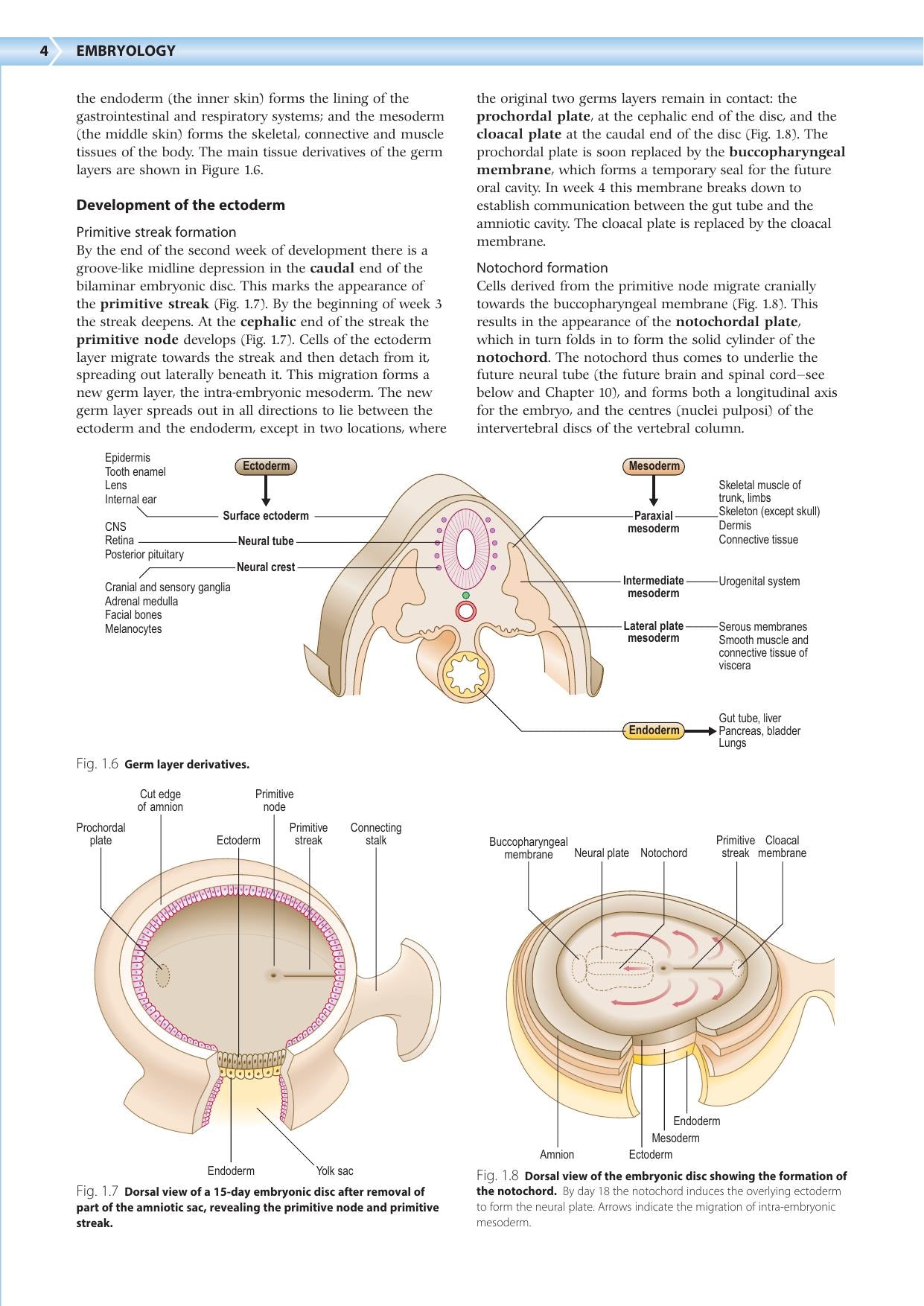 Embryology An Illustrated Colour Text 2Nd Edition