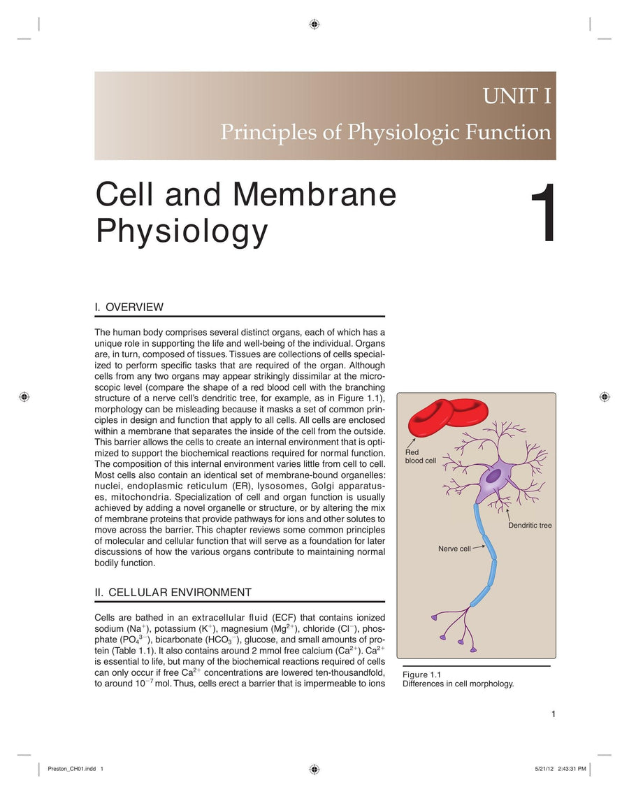 Preview page of Lippincotts Illustrated Reviews Physiology