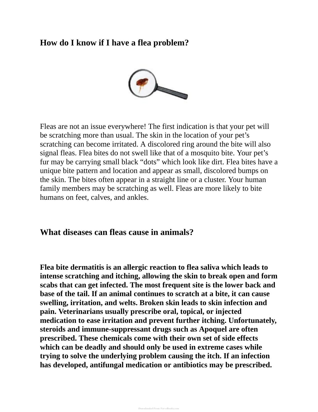 Protecting Your Pets From Parasites A Holistic Guide To Fleas Ticks Heartworms