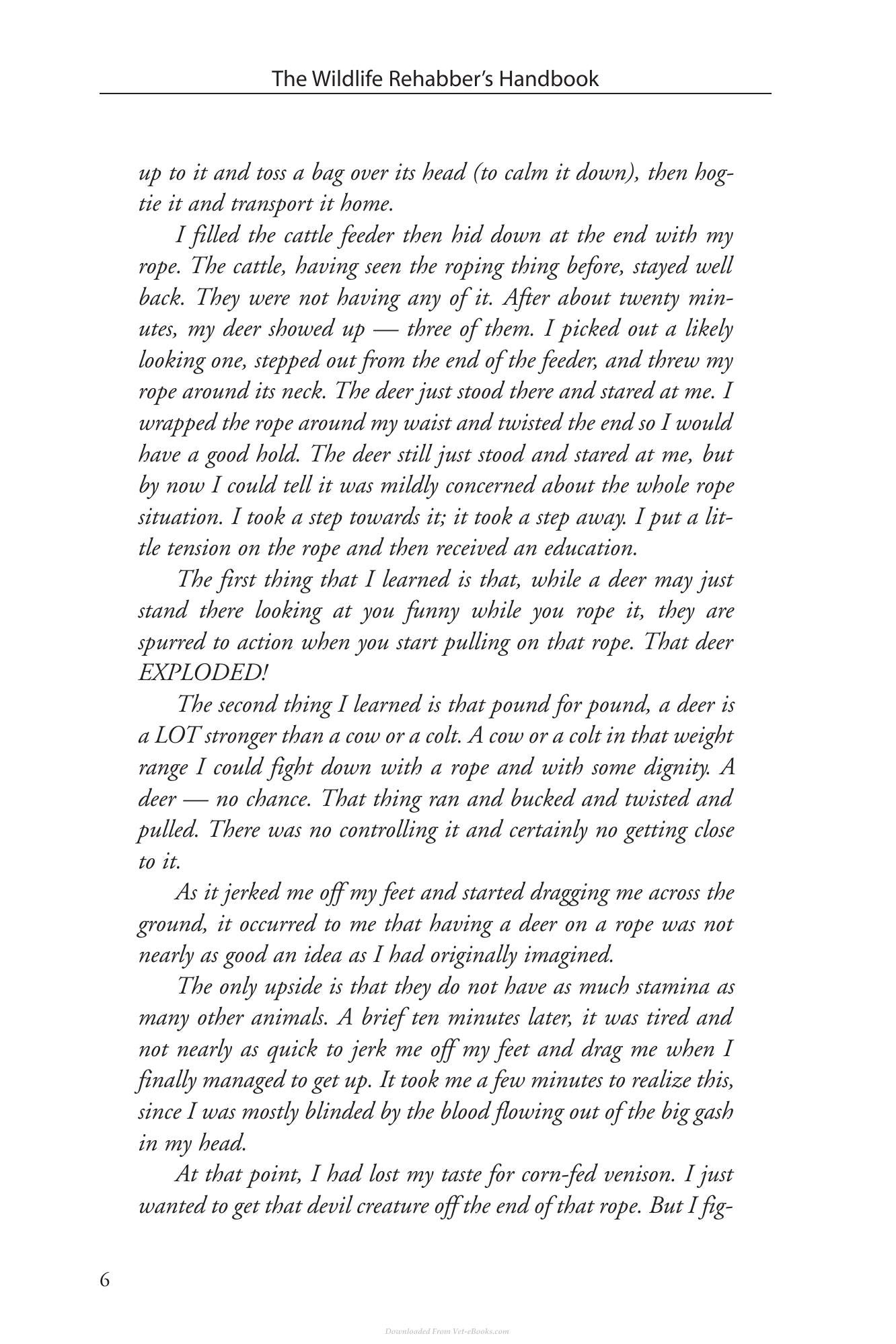 Look inside — page 13