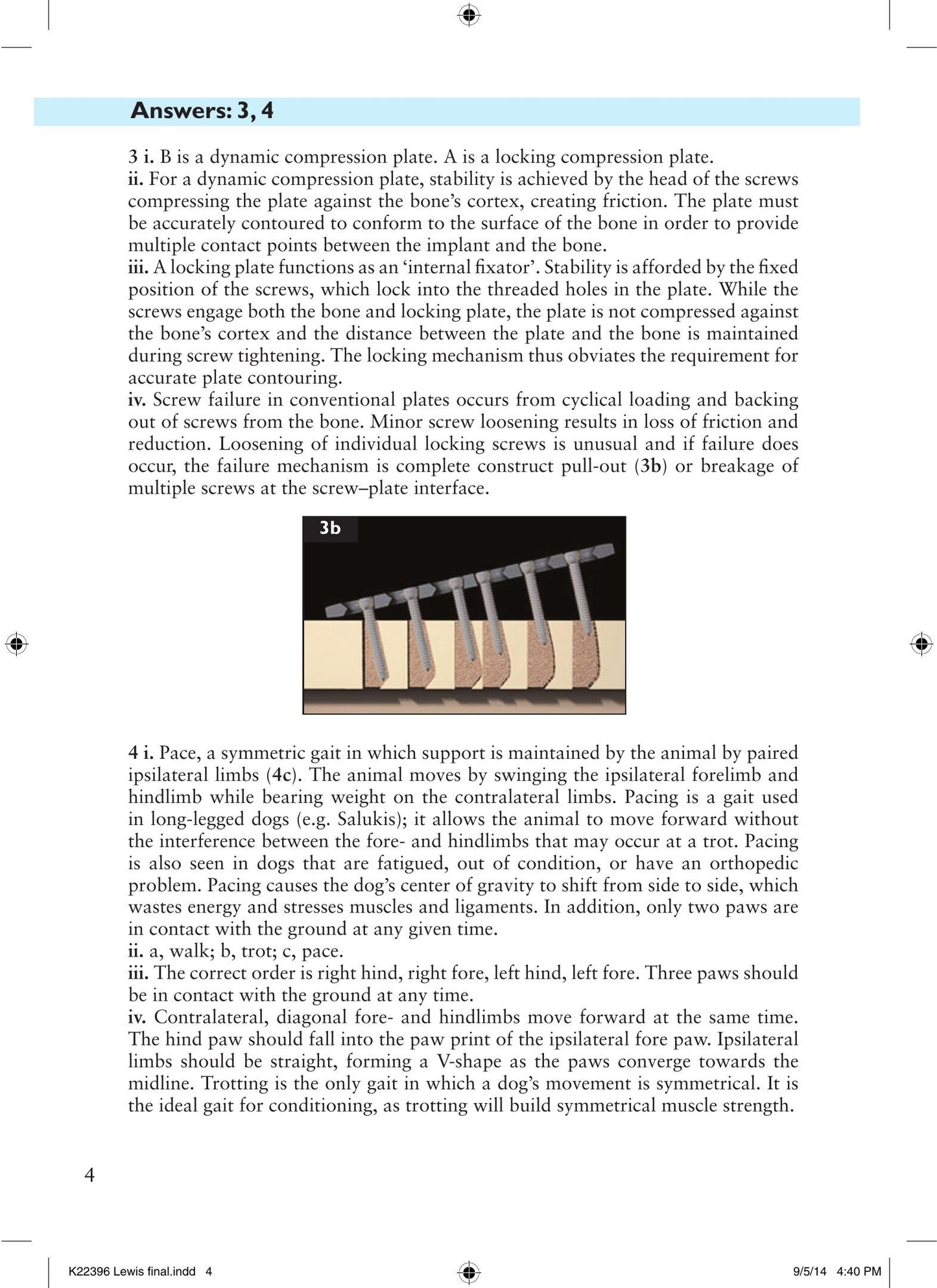 Look inside — page 13
