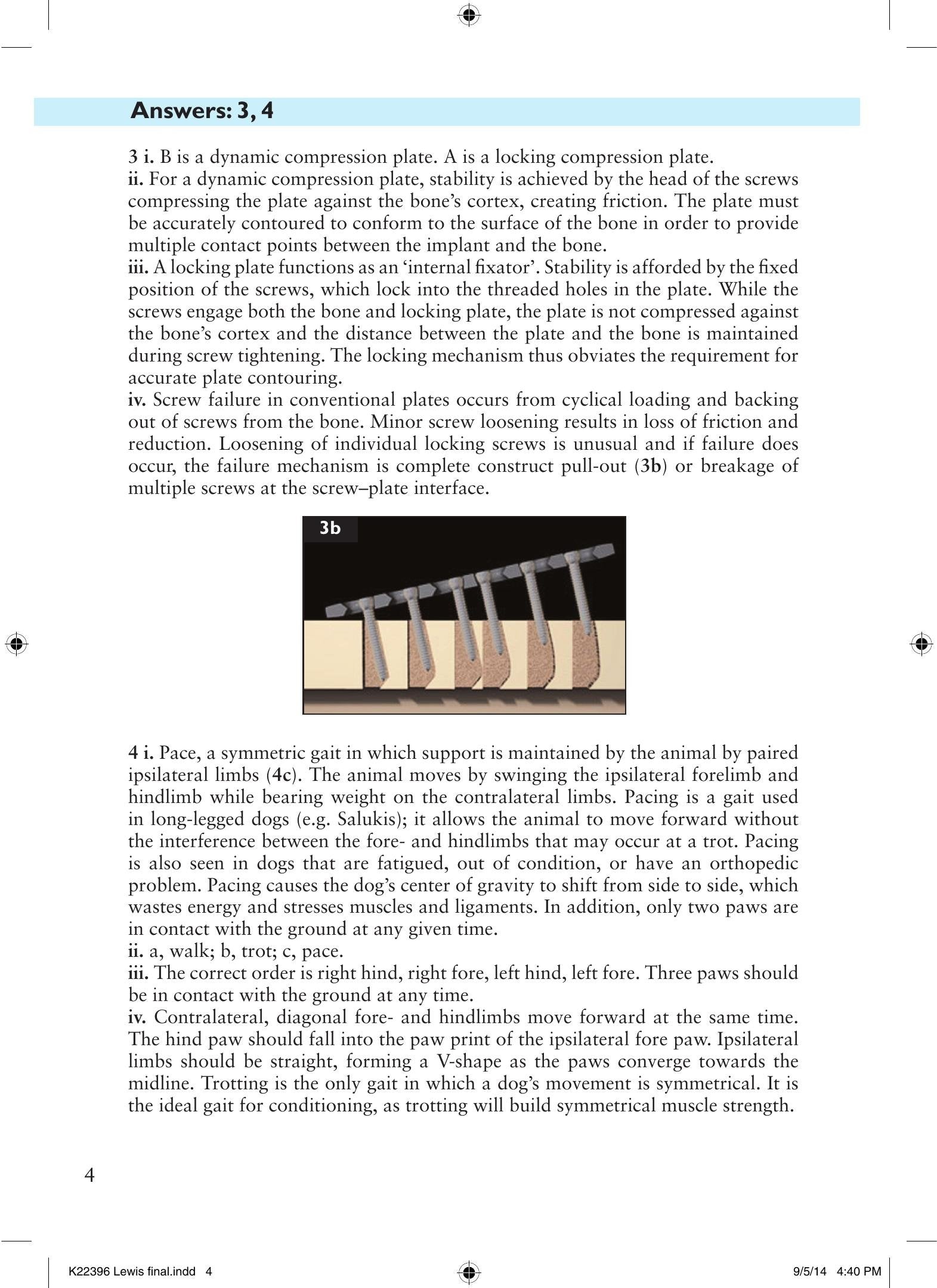Look inside — page 13