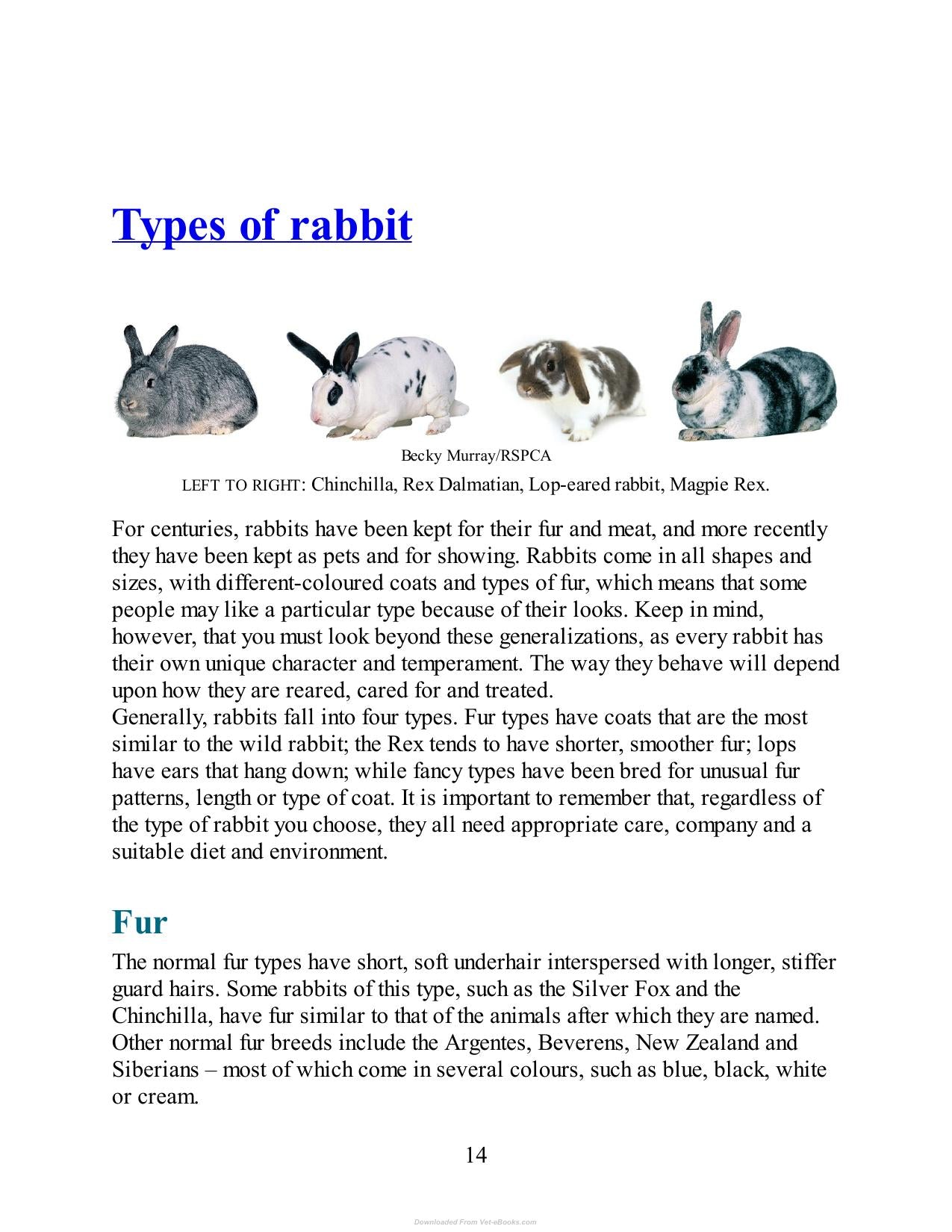 Look inside — page 14