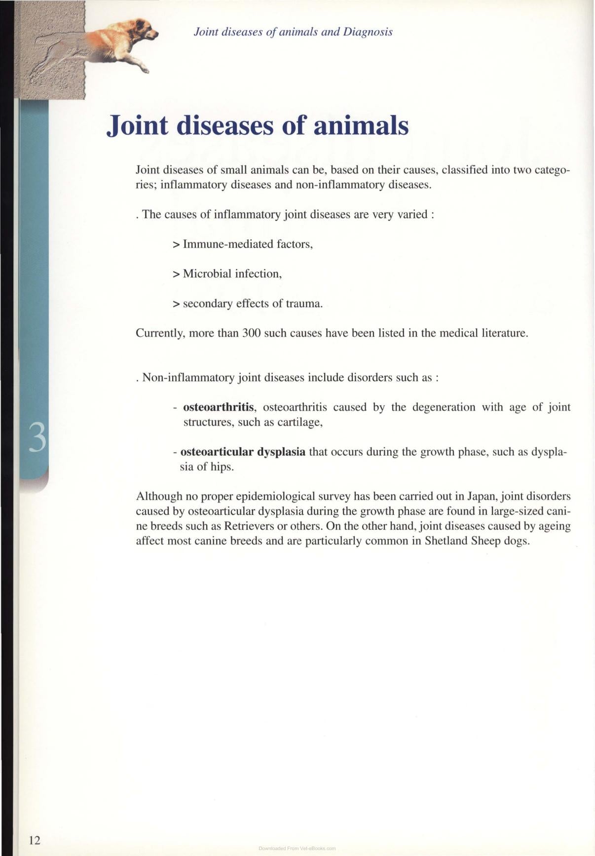 Diagnosis And Treatment Of Joint Disease Of Small Animals