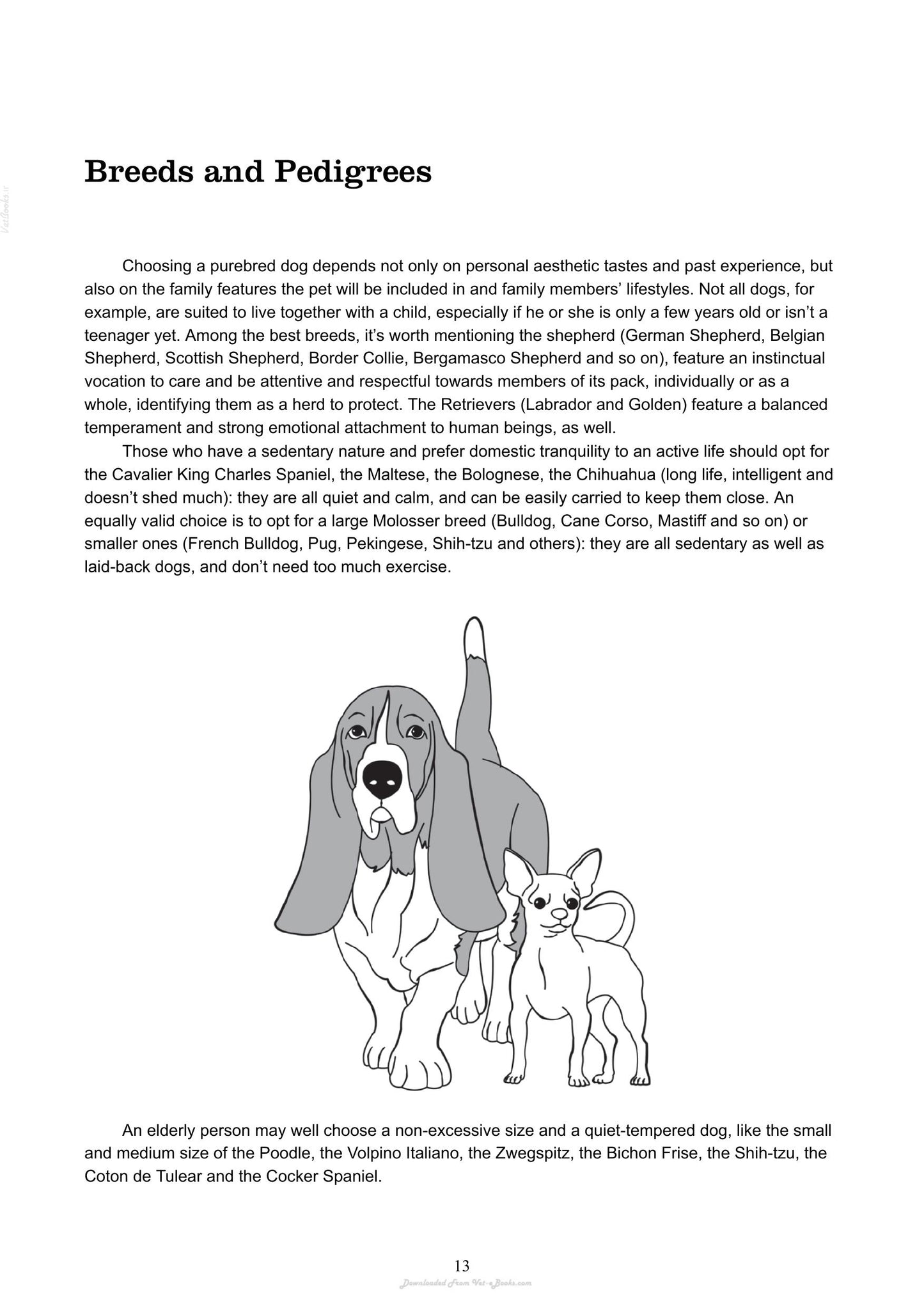 The Absolute Beginners Guide To Living With Your Dog