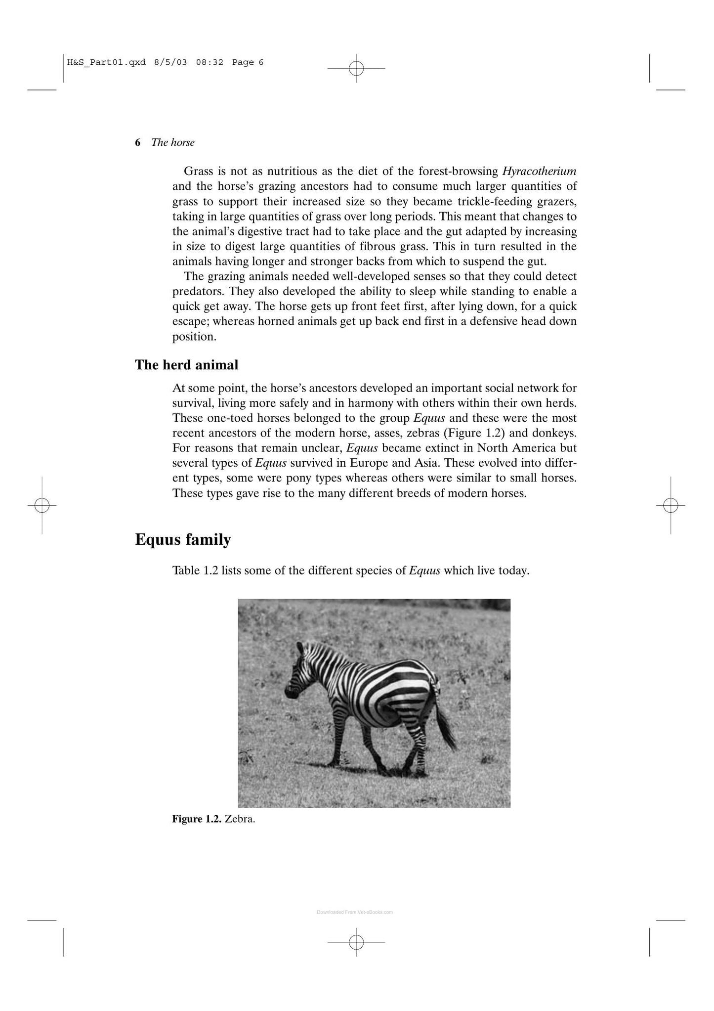 Look inside — page 14