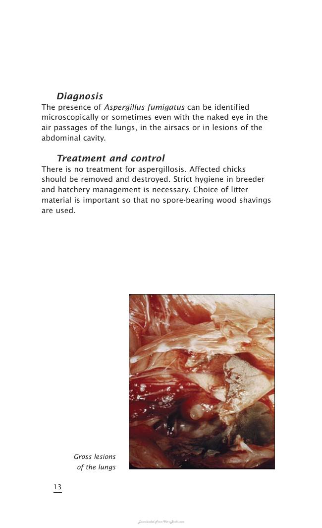 Important Poultry Diseases