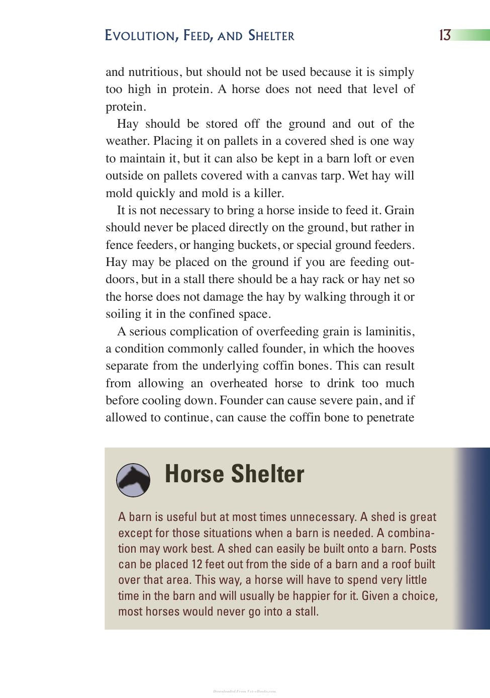 Horse Health And Care