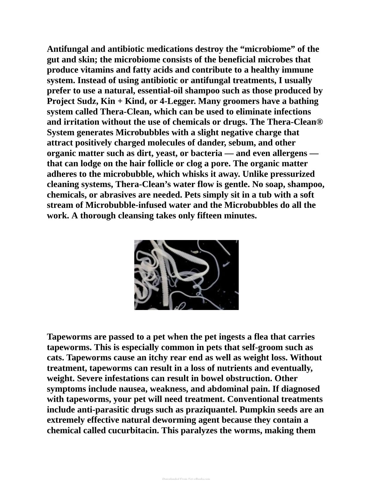 Protecting Your Pets From Parasites A Holistic Guide To Fleas Ticks Heartworms
