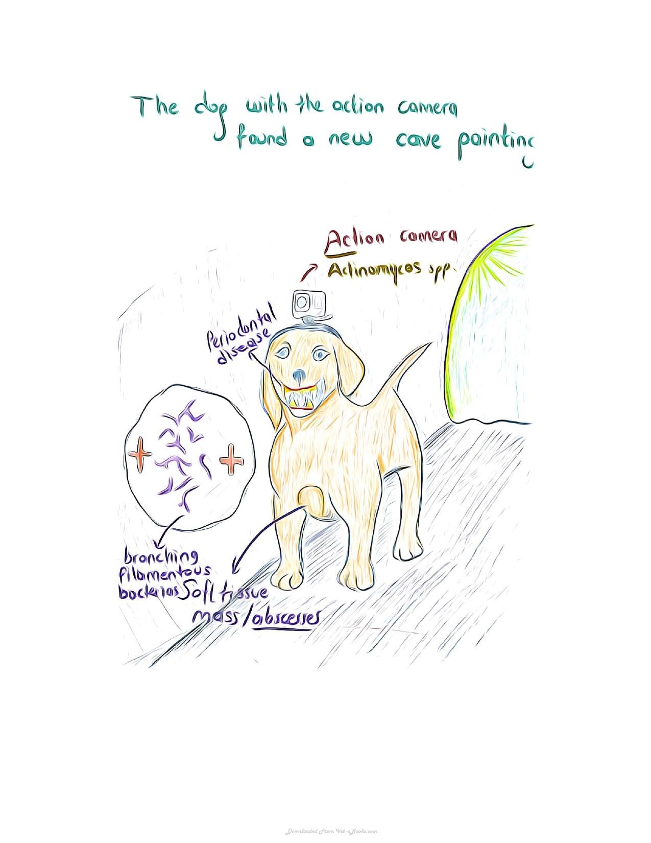 Small Animal Infectious Diseases Mnemonic Cartoons