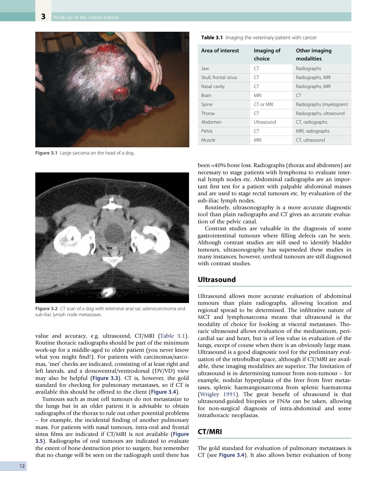 Small Animal Oncology
